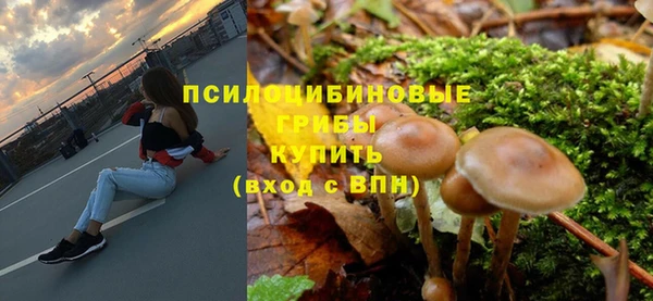 2c-b Козельск